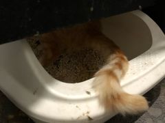 -味多美(江桥万达店)
