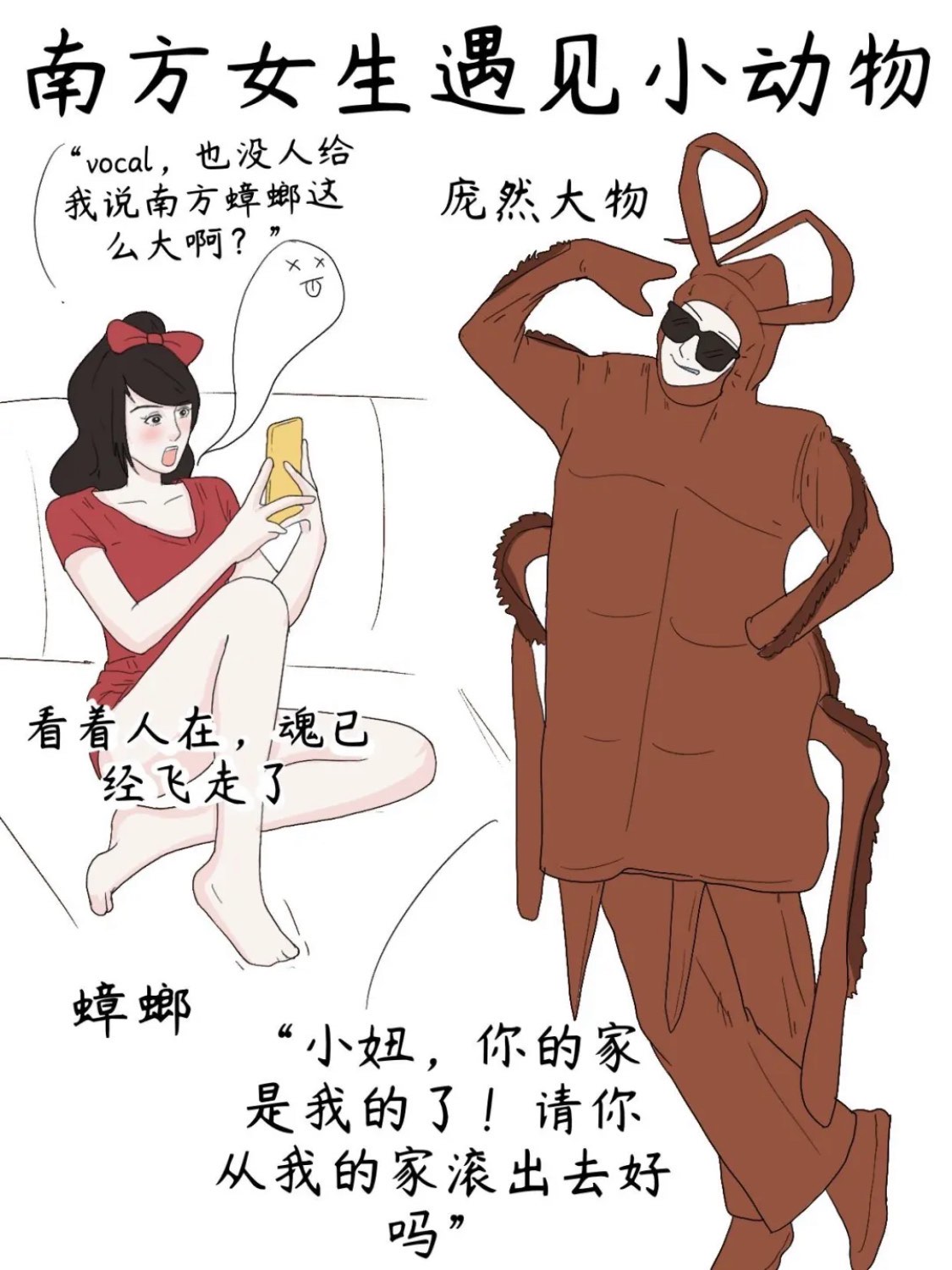 北方男孩评价南方女孩图片