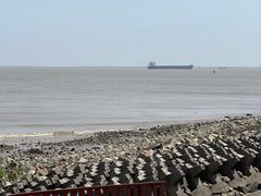 -上海滨江森林公园