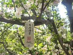 -元大都城垣遗址公园