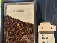 -TODAY(环城东路店)