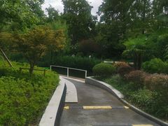 -兰溪青年公园