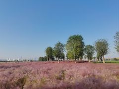 -汉长安城未央宫国家考古遗址公园