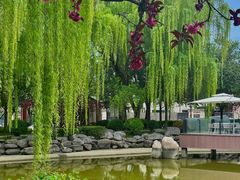 -唐城墙遗址公园