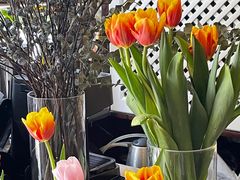 -Uncle Kosto科斯托·中东菜