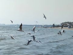 -老虎石海上公园