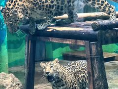 -昆明动物园