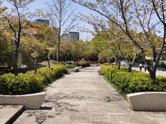 -新江湾城公园