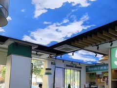 -鸽小宝(深圳首店)