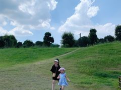 -武汉紫薇都市田园