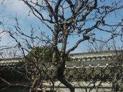 -口岸雕花楼