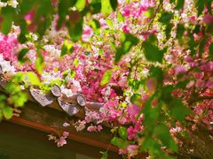 -深圳国际园林花卉博览园