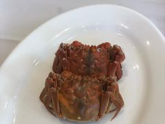 -星湖愉景酒家