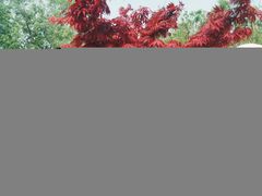 -济南国际园博园