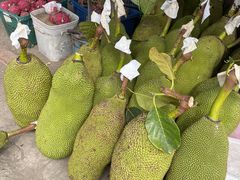 -打洛口岸