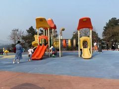 -铁山坪森林公园