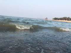 -瑶湖郊野森林公园