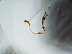 -葛尼沙印度餐厅 (镇明路店)