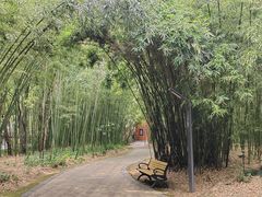 -苏州河梦清园环保主题公园