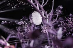 -广州文华东方酒店·宴会厅