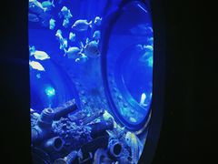 -成都浩海立方海洋公园