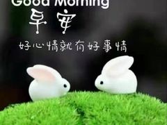 -青岛天主教堂(市南区)