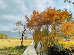-塔川景区