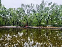 -玲珑塔公园