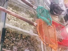 -岛中岛·海鲜大排档·万宁老字号(东澳店)