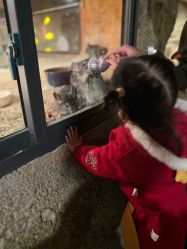 -酷嗒动物文化乐园(cutezoo西溪乐天城店)