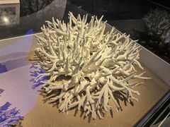 -天津自然博物馆