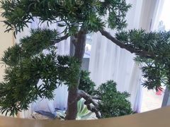 -马家斑.鲜鱼火锅(松湖万科店)
