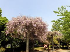 -玉山公园