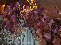 -叶叶菩提·晋福宫