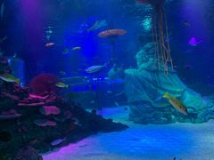 -沈阳海洋探索中心