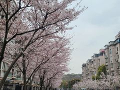 -永乐路-路侧停车场