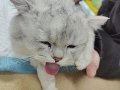 -安安宠医·安宠宠物医院