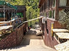 -宁波浙东大竹海景区