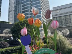 -中海环宇荟