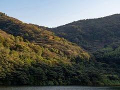 -黄埔油麻山森林公园