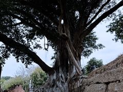 -胡里山炮台