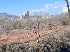 -滨河世纪广场公园
