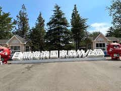 -日照海滨国家森林公园