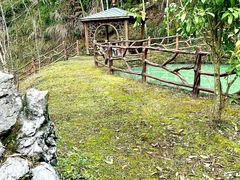 -仙岛湖旅游风景区