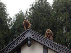-太阳湾风景区