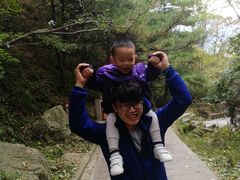-王顺山国家森林公园
