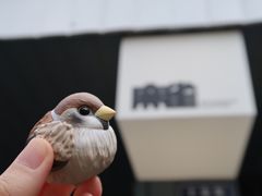 -麻雀咖啡SPARROW COFFEE(十全街店)