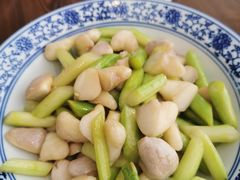 -兰边碗(鼓楼店)