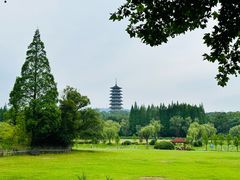 -宜兴龙背山森林公园