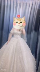 -Color卡诺婚纱礼服馆(南京严选店)